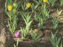 -长春公园(普阳街道)