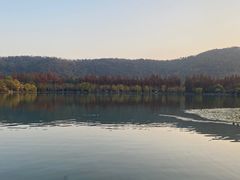 -杭州花家山庄