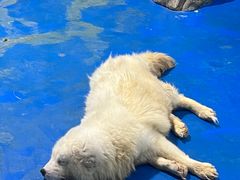 -顺德南宏海立方海洋公园