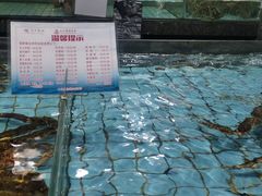 -渔民新村(番禺总店)