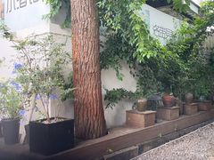 -云里小坐·小院里·团建·宴请·下午茶(三圣乡店)