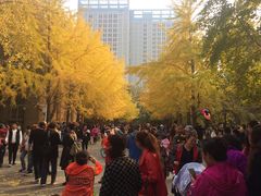 -辽宁大学(崇山校区)