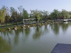 -祥源·阜阳生态乐园