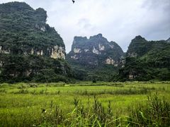-明仕田园