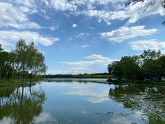 -东郊湿地公园