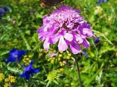 -白草畔自然风景区