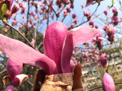 -宁波九龙湖开元度假村