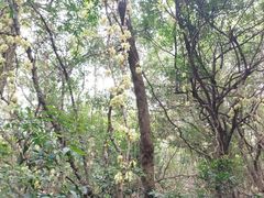 -白水带风景区体育公园