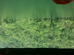 android_upload_pic-鼎湖山风景区