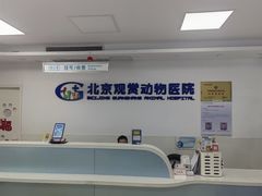-北京观赏动物医院·24小时大型综合·猫专科·异宠专科