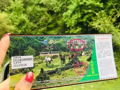 -硗碛藏寨·神木垒景区