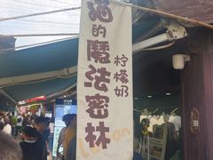 -猫的魔法密林(衣裳街店)