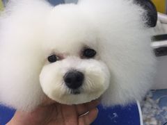 -瑞派宠物医院·24小时骨科·心脏·核磁(哈尔滨南岗店)