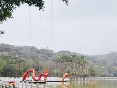 -西樵山风景名胜区-天湖公园