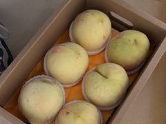 -老袁家蜜桃农场·阳山水蜜桃