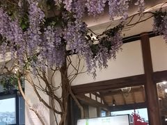 -紫腾大院·南京菜(江宁店)