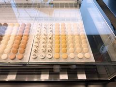 -BLACKSWAN黑天鹅(环球店)