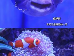 -多彩贵州城极地海洋世界