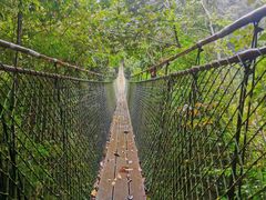 -云南屏边大围山国家公园