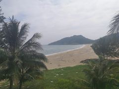 -广东惠东海龟国家级自然保护区