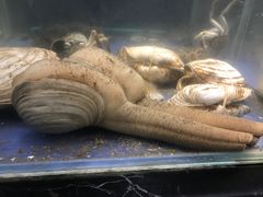 -甄品麦哲伦海鲜和牛自助(万达广场店)