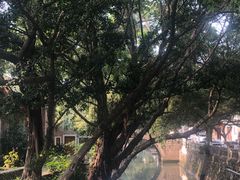 -伦教678文化街