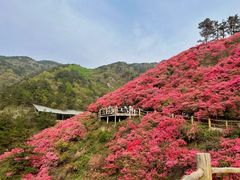 -木兰云雾山