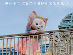 -上海迪士尼度假区