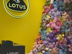 -莲花跑车(国贸商城店)