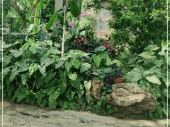 -郑州植物园