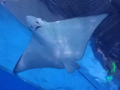 -常州海昌海洋探索馆