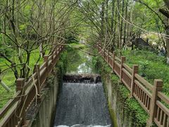 -桤木河湿地公园