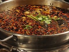 -味之绝热血美蛙鱼火锅(中坝店)