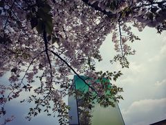 -龙美术馆西岸馆-停车场