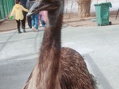 -新疆天山野生动物园