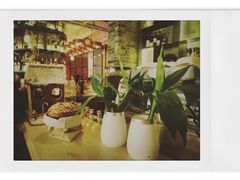 -the rug 飞毯 (朝阳公园店)
