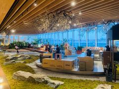 -Seesaw Coffee(朝阳大悦城店)