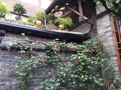 -恺庐茶园(宽窄巷子景区店)