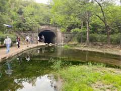 -白水寺森林公园