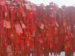 -镇江市南山风景名胜区竹林景区