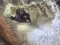 -湖南省地质博物馆