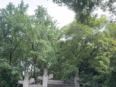 -九华山公园