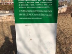 -坝河休闲公园