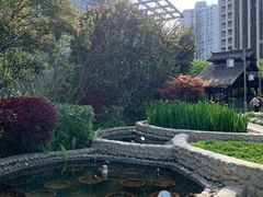 -活水公园