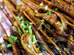 鳝鱼-晓靖轩烧烤(沙河风情店)