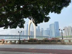 -珠江琶醍