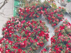 -人民公园(罗湖区)