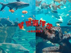 -长鹿旅游休博园