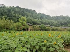 -常德桃花源景区