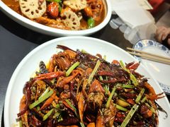 -京悦南门涮羊肉·羊蝎子火锅(田林路店)